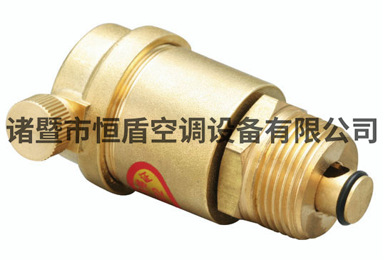 自動排氣閥DN20